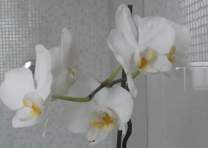 Gianduja Bed & Breakfast