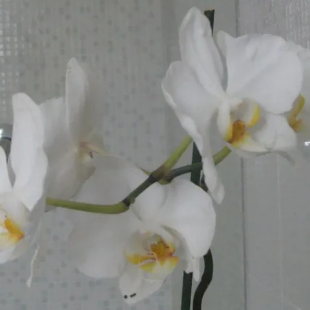 Gianduja Bed & Breakfast